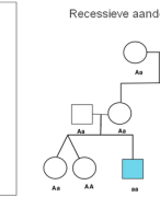 Samenvatting Genetica - Odisee Chemie