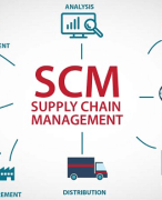 Summary International Supply Chain Management 2