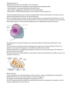 samenvatting biologie thema 1 vwo 4