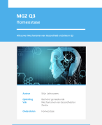 MGZ Q3 samenvatting
