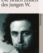Uitgebreide samenvatting van het boek Die neuen Leiden des Jungen W