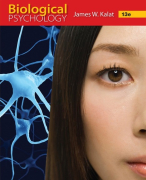 biologische psychologie samenvatting
