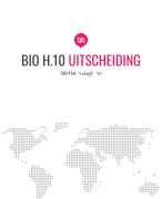 BIO H.10 Uitscheiding 