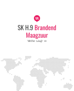 SK H.9 Brandend Maagzuur 