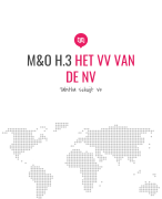 MO H.3 Het VV van de NV