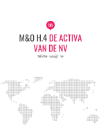MO H.4 De Activa van de NV