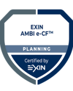 Samenvatting AMBI e-CF Planning || LOI || Bachelor Informatica || Exin