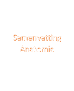 Samenvatting Anatomie en fysiologie deel 2