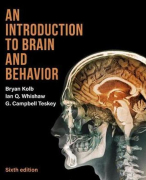 Summary of chapters 5 until 8 of An Introduction to Brain and Behaviour 