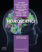 Samenvatting Neuroscience (Purves) 6e editie: Hoofdstuk 1 t/m 8 + 22 & 23 + Anatomie