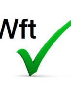 WFT vermogen samenvatting
