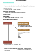 Nederlands: zinsleer vs woordleer
