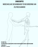 Geslaagde scriptie zelfdredzaamheid social work hva
