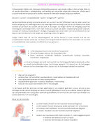 Anatomie en fysiologie: het ademhalingsstelsel