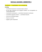 Sociale agogiek: semester 2, 2019-2020
