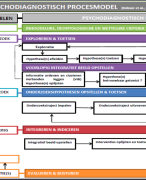 Samenvatting Psychodiagnostiek fase 1 toegepaste psychologie thomas more 13/20