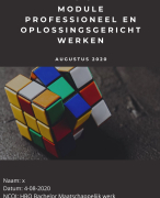 Geslaagde NCOI module professioneel en oplossingsgericht werken 
