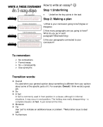 Hoe schrijf je een essay?(engels)