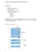Fase 1 Semester 1 Microbiologie 