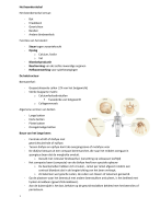 Fase 1 Semester 1 Anatomie en fysiologie - het locomotorische stelsel