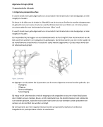 Algemene Chirurgie H1 t/m H8- 11.1-11.3-H13-H14-H16-H17-18.2