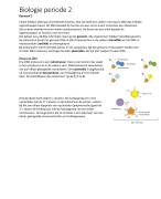 Biologie voor Jou samenvatting 5 VWO thema 4 - DNA