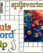 Antwoordblad kruiswoordclip spijsvertering