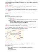 Hoofdstuk 1: microscopische anatomie van het zenuwstelsel