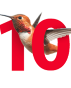 Hoofdstuk 12 samenvatting 10voorbiologie 