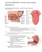 Summary BBS2041 Human Intermediary Metabolism