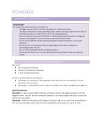 Samenvatting - pedagogie