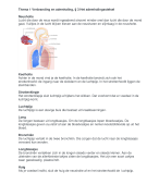 Biologie BVJ VWO 2 Samenvatting/ begrippen/ vragen bij Thema 1 Verbranding en ademhaling,  §3 Het ademhalingsstelsel