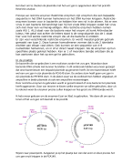 GEE samenvatting Restrictieanalyse enzymen en gelelektroforese 