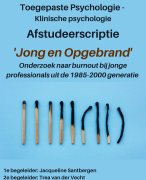 Geslaagde scriptie Saxion toegepaste psychologie burn-out onder professionele jongeren en hun behoeften. Klinische psychologie. Eindcijfer 7