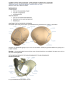 SAMENVATTING: Afwijkende liggingen en standen bij de baring. Versie & uitgezakte delen in de verloskunde.