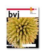 Samenvatting par 1 t/m 4 h6 bvj 4 havo 4B