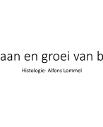 Ontstaan en groei van lange botten 