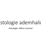 Histologie van het ademhalingsstelsel 