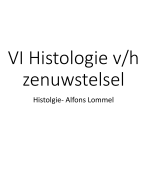 Histologie van het zenuwstelsel