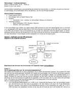 Capita selecta vennootschapsbelasting (CS VPB), werkcolleges, TLS (MASTER)