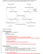 Taal: diagnostiek: taalverwerkingsmodel/fase 1 Logopedie en audiologie 