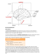 Samenvatting The Students Guide To Cognitive Neuroscience