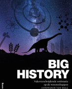 Big History, vakoverschrijdende oriëntatie op de wetenschappen