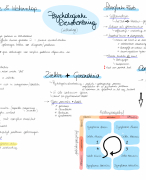Mindmap Psychologische Dienstverlening Vives Toegepaste Psychologie 