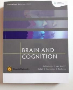 Samenvatting Cognitie & Gedrag boek + hoorcollege's (UU) 2021-22