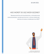 Vakmanschap 6 - Adviesrapport
