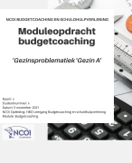 NCOI moduleopdracht Budgetcoach Schuldhulpverlening - NIEUWE NCOI STIJL - 'Gezinsproblematiek' - Geslaagd nov 2021 -