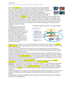 Hoofdstuk 55; bouwstenen van een ecosysteem
