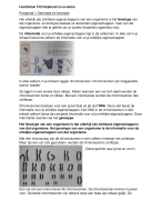 2HAVO/VWO Biologie Hoofdstuk 5 Erfelijkheid en evolutie Samenvatting + Afbeeldingen 
