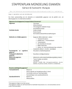 Stappenplan examencasus - Gehoor&Evenwicht: therapie